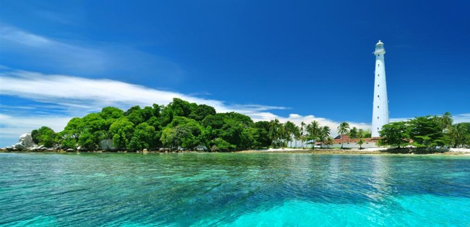 lengkuas-2.jpg